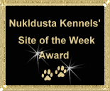 Know of a good canine site, visit and nominate your favourite to see if it deserves our award..